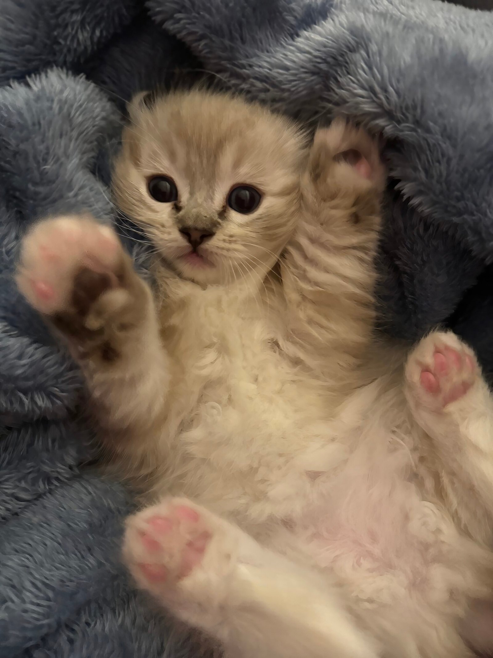 Hello!