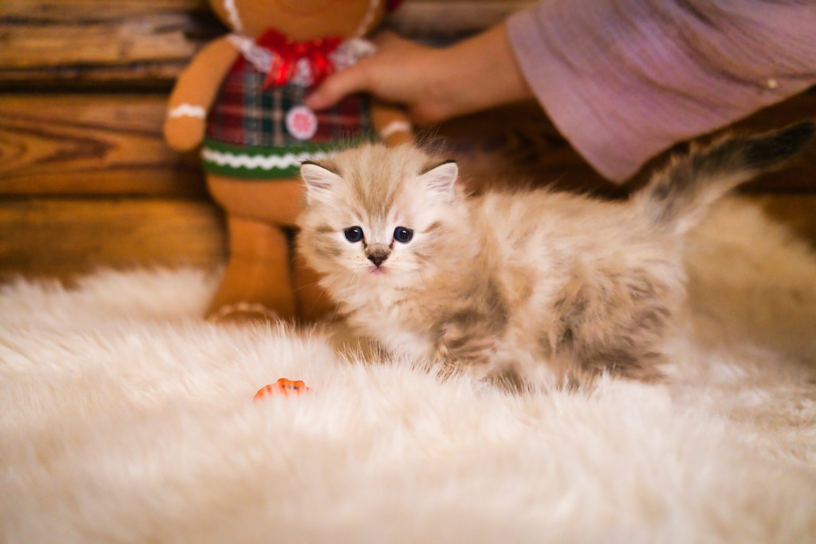 This is little CJ when he was a baby.