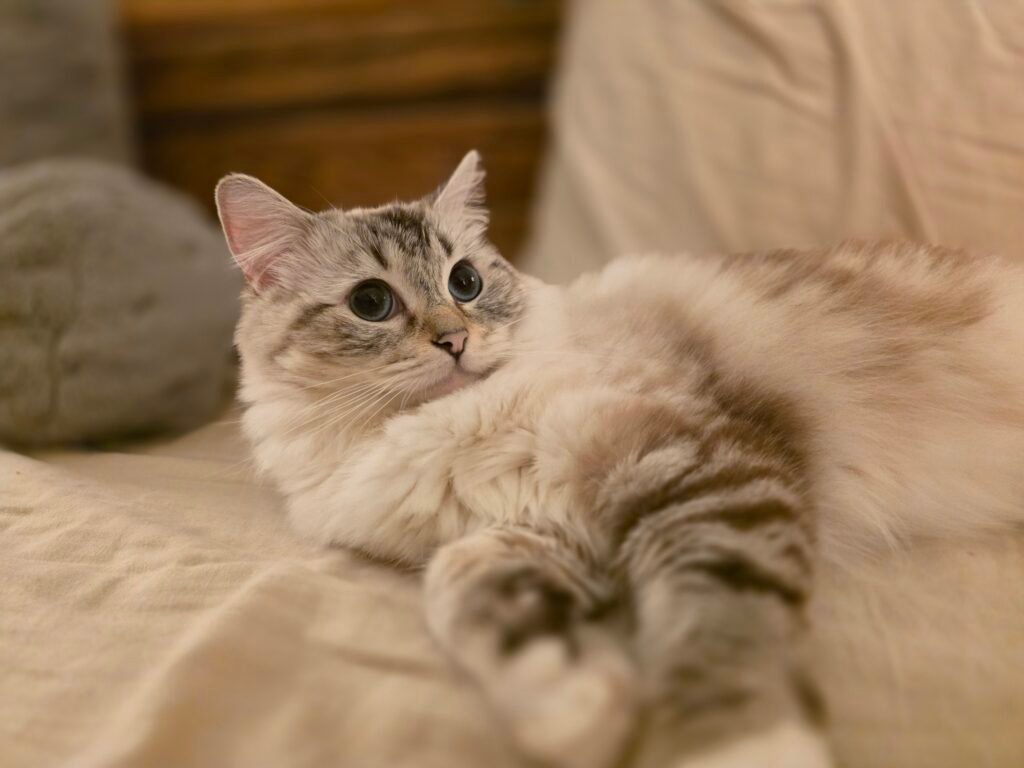 Phoebe says Hi!