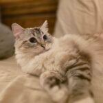 Phoebe says Hi!